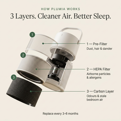 The Recovery Air Purifier